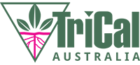 TriCal Logo print